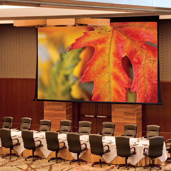 PARAGON V, 234" D (124" W X 198" H), 16:10, MATT WHITE XT1000VB, 110V